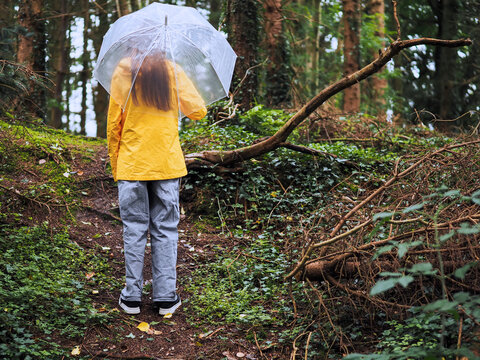 Teenager girl in yellow tourist coat with translucent umbrella is a forest park. Tourism and adventure in wet rainy season concept. Explore nature theme. Model with slim body type.