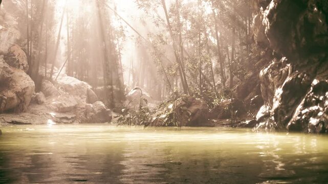 A serene forest setting features a still body of water reflecting gentle sunlight. Towering trees surround the area, creating a peaceful and inviting atmosphere.