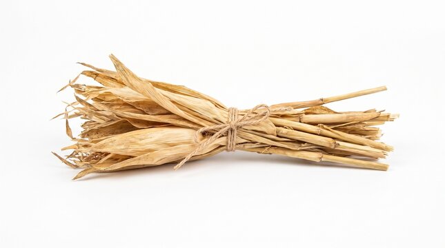 Bundle of dried corn husks and stalks tied with twine on a white background white background