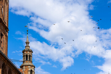 Obraz premium Corner tower of the Old Town Hall in Torun rises with a tall spire and weather vane. Brick facades and ornate details stand against a bright sky with scattered clouds and flying birds.