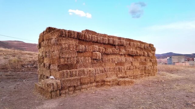 Large stack of hay bales stored in a rural field under blue sky a massive