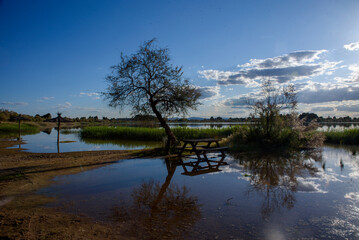 Picturesque landscape of a flooded park with trees and picnic tables reflected in calm water at sunset. © J.Moreno