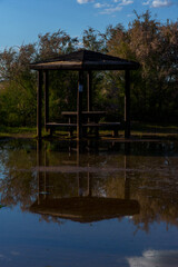 Flooded landscape in Lagunas de Villafranca, Castilla-La Mancha, Spain. © J.Moreno