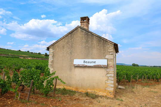 A small stone building marked &ldquo;Beaune&rdquo; stands among vineyards in Burgundy, France, under a bright summer sky.