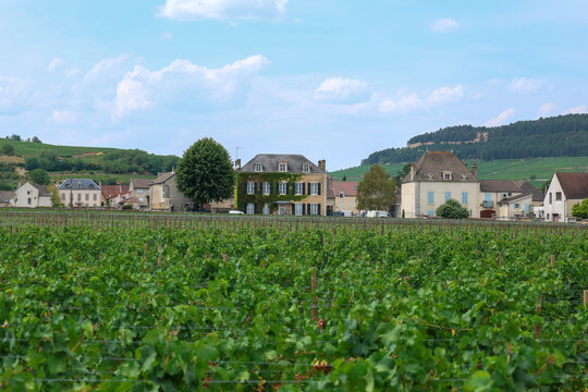 Traditional houses and vineyards in Pommard, Burgundy, France, framed by green hills and a bright summer sky.