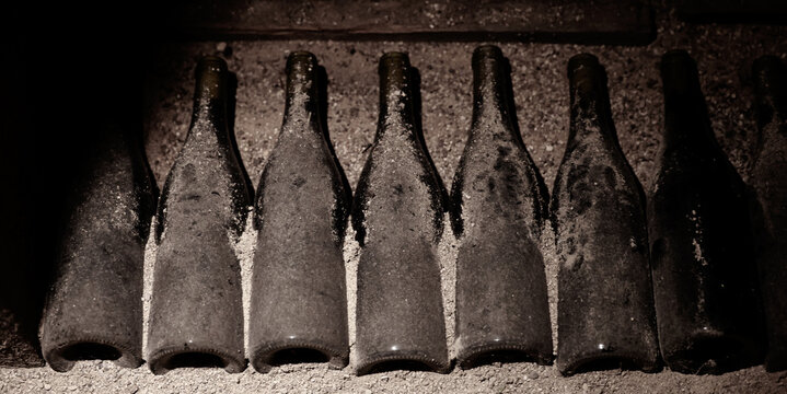 A row of dusty wine bottles lies on a cellar shelf in Beaune, Burgundy, France, evoking centuries of winemaking heritage.