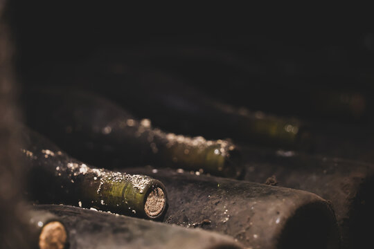 Aged wine bottles rest in a dim Beaune cellar in Burgundy, France, coated in dust and time.