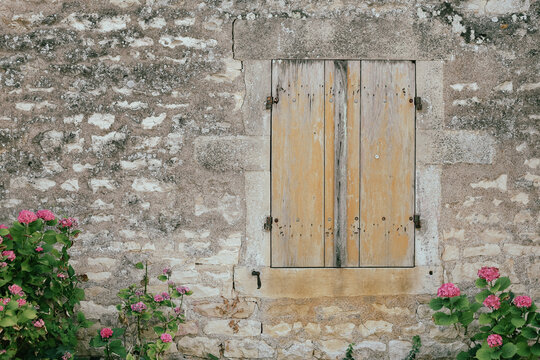 A weathered wooden shutter on a stone wall surrounded by pink hydrangeas in Beaune, Burgundy, France.