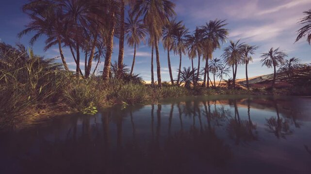 A tranquil oasis features tall palm trees with their reflections visible in still water at dusk. Soft colors illuminate the sky, enhancing the peaceful atmosphere of the landscape.