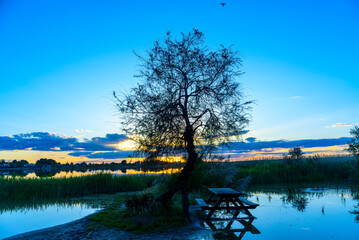 Picturesque landscape of a flooded park with trees and picnic tables reflected in calm water at sunset. © J.Moreno