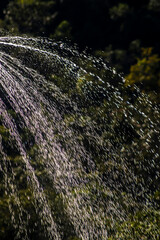 Fototapeta premium High shutter speed close-up photo capturing crisp water drops spraying from a sprinkler over dark green tropical garden trees during a hot sunny day in Brazil.