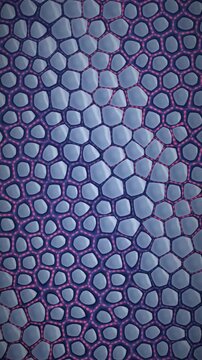 Pulmonary Alveoli Gas Exchange Seamless Loop: Breathing Air Sacs and Red Blood Cells in Capillaries in cool indigo tones vertical 9:16