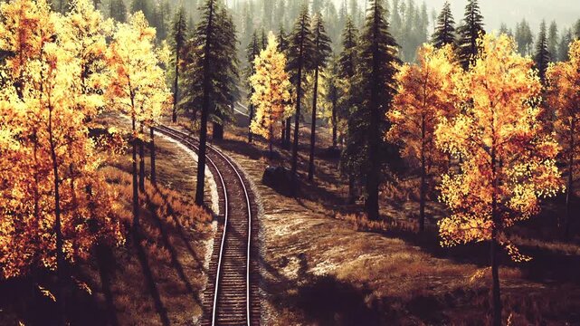 A railway track curves through a vibrant autumn landscape filled with orange and yellow trees. The warm sunlight casts long shadows across the earthy ground, creating a tranquil atmosphere.