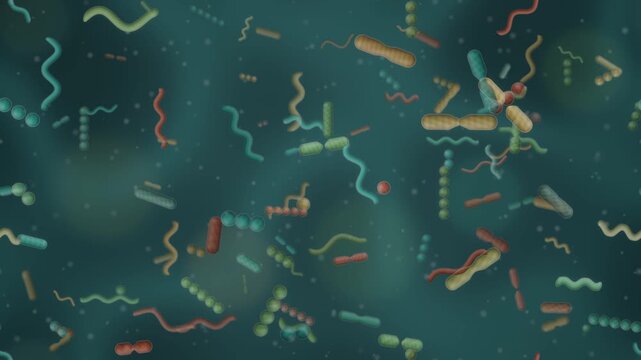 Gut microbiome bacteria ecosystem rod coccus and spiral microbes dividing in mucus seamless loop in cool teal tones