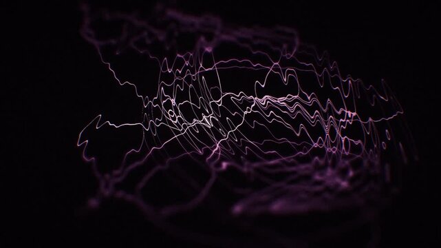 Dark pink rose orbiting light curves with flowing trails and warped gradients, for seamless loop motion background, titles, VJ set, and branding.