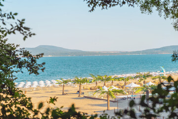 Fototapeta premium Sandy city beach with palm trees and rows of umbrellas stretches along the Black Sea coast in Burgas on a clear summer day. Bulgarian coast