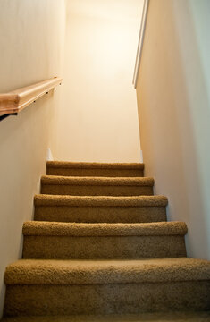 Carpeted Staircase Leading Upstairs in a Warm Home Interior