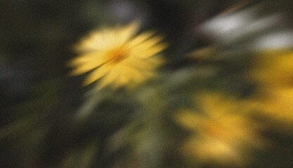 Naklejka premium Yellow wildflower motion blur background with soft green foliage and dreamy natural atmosphere
