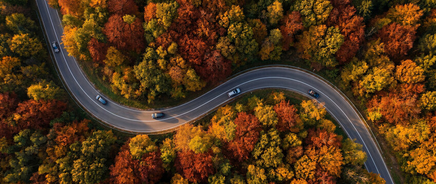 Aerial View of a Winding Road Through Vibrant Autumn Forest with Cars and Golden Fall Foliage 