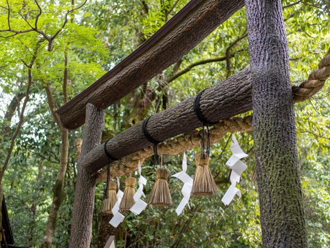 野宮神社の黒木鳥居