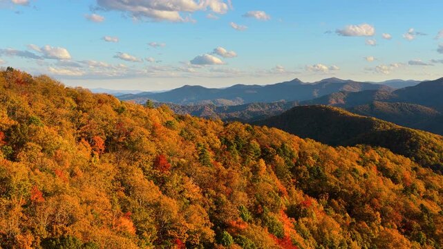 Vibrant fall landscape in Appalachian Mountains of North Carolina featuring dense woodland, colorful treetops and peaceful mountain scenery.