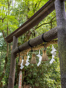 野宮神社の黒木鳥居