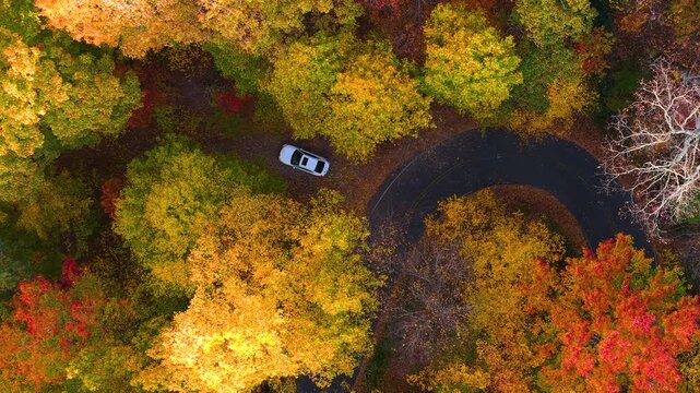 Car parked at a scenic overlook along the Blue Ridge Parkway in North Carolina. Panoramic autumn landscape with vibrant forest stretching across the hills.