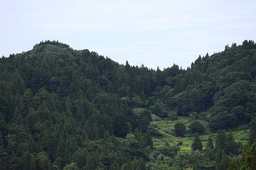 Fototapeta premium Mountain Forest Landscape in Rural Japan