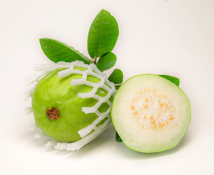 Guava, a tropical fruit from Nicaragua. For eating and export.