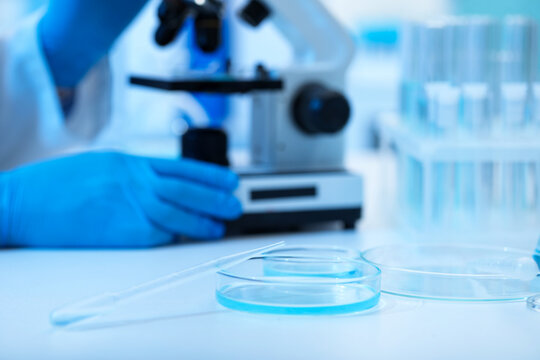 Petri dish with sample and pipette on table, scientist working in laboratory, selective focus