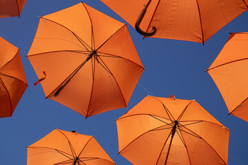 Various orange umbrellas on a sunny day © Patricia Fragoso
