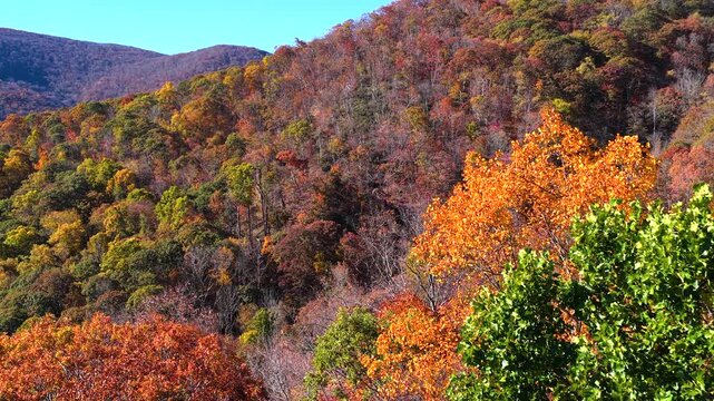 Panoramic view of mountain woods covered with colorful autumn foliage. Rich seasonal colors create stunning natural landscape.