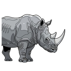 Fototapeta premium Stylized Rhinoceros Illustration Isolated