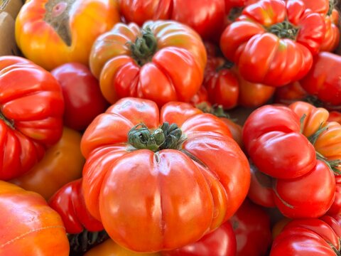 A vibrant pile of ribbed heirloom tomatoes in rich red and orange hues, freshly picked and ready for market