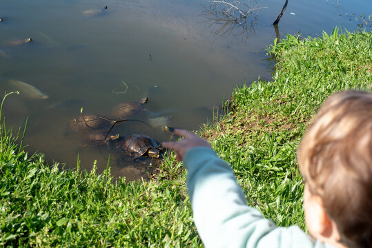Two-Year-Old Toddler Boy Observing Lagoa do Viol&atilde;o in Torres, Brazil