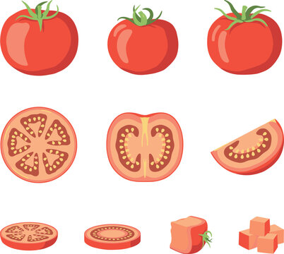 Fresh red tomato vector set with whole ripe vegetables half slices round pieces diced cubes isolated on white background