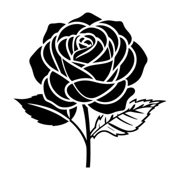 elegant monochrome line art rose with detailed petals, symmetrical vector drawing, high contrast black and white