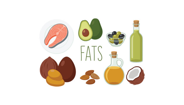 Healthy dietary fats sources vector illustration set featuring salmon fish, avocado, olive oil bottles, nuts, and coconut elements.