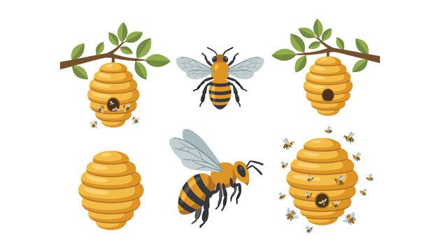Honey bee hive vector set with flying honeybees wild wasp nests hanging on tree branches isolated organic insect nature illustration