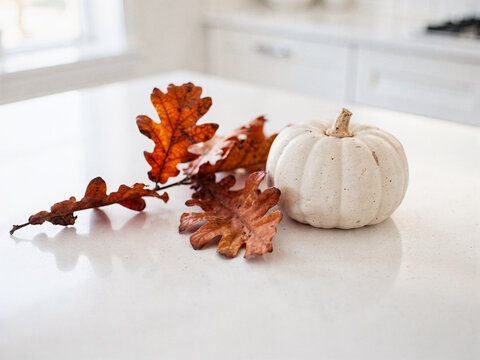A decorative small white pumpkin resting next to dried brown autumn oak leaves on a clean white kitchen island countertop