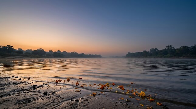 Serene riverbank landscape at sunrise with floating orange flower petals and calm water reflections