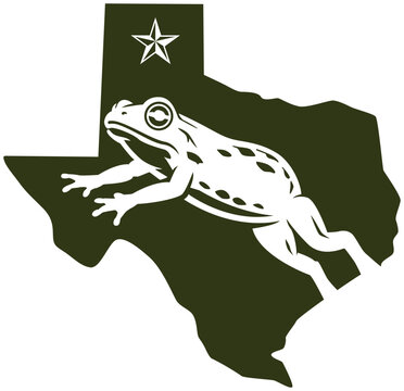 Frog and texas icon