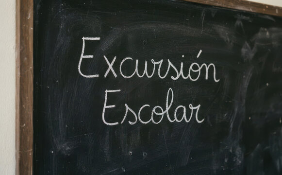 Excursi3n Escolar - Viaje educativo infantil y aprendizaje escolar en la naturaleza