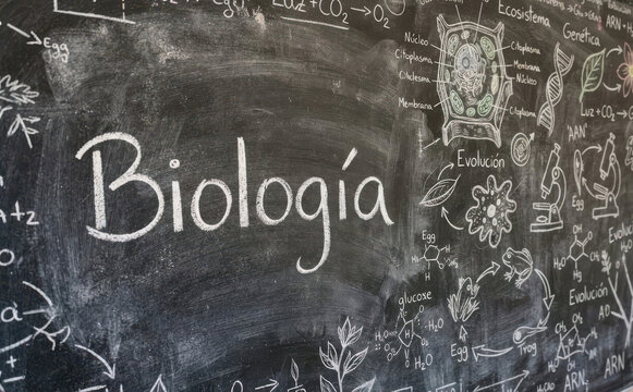 Biologia en pizarra escolar, educacion y ciencia para estudiantes, concepto de aprendizaje