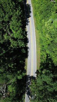 Aerial view looking down at a road winding through Oconee State Park in northwest South Carolina.