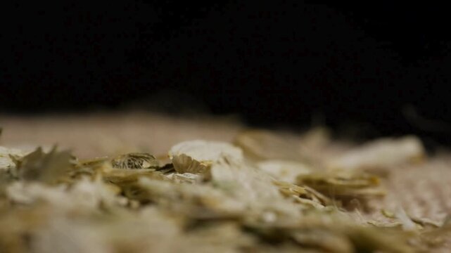 Macro view of dried hop leaves on burlap fabric