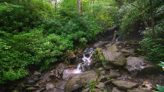 Beautiful waterfall pouring down a rocky cliff in shaded woodland valley, surrounded by lush foliage, humid rainforest atmosphere and fresh mountain nature.