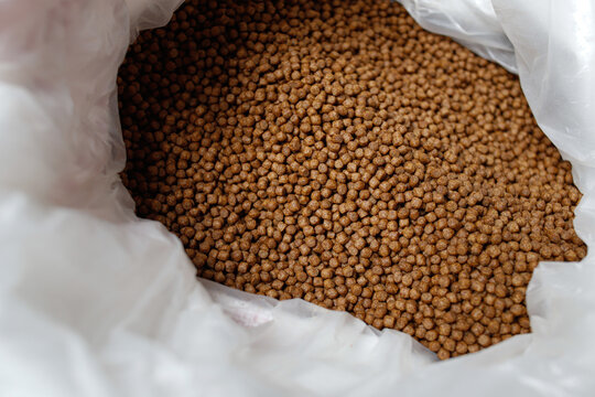 Premium Fish Feed Pellets in Hands &ndash; Aquaculture Nutrition	
