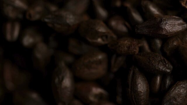 Extreme macro view of black roasted malt barley grains