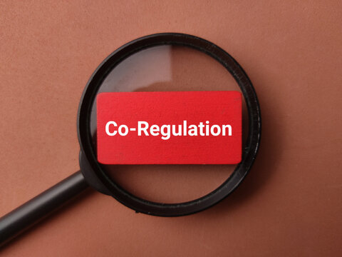 A magnifying glass centers on a red wooden block labeled Co-Regulation against a plain brown background